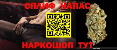 прущие грибы Балаково