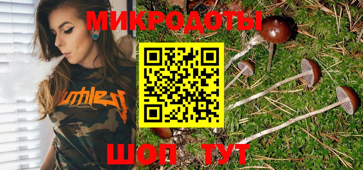 Псилоцибиновые грибы мицелий Дербент
