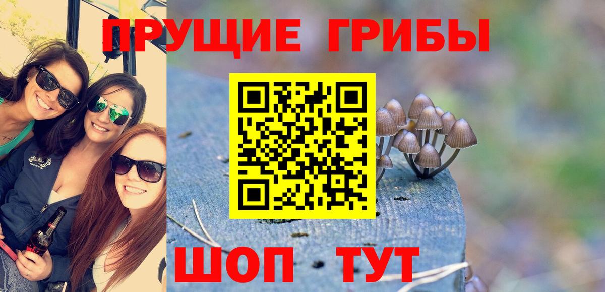 Галлюциногенные грибы MAGIC MUSHROOMS  наркотики  Дербент  Вход с VPN 